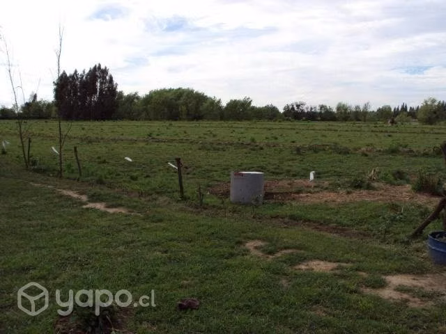 5000 M2 Vara Guesa sector Quiñipeumo