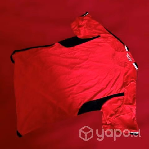 Camiseta Colo-Colo 23/24 - Imagen 2