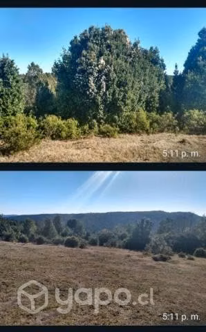 Terreno en tres chiflones