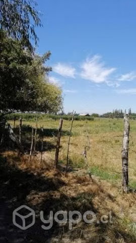 Hermoso terreno longaví, 2 hectáreas, vende dueño