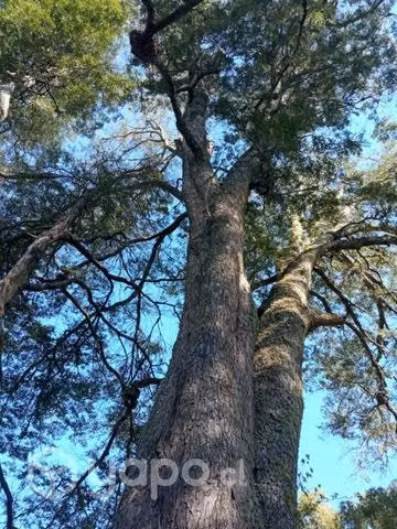 Hermoso Terreno en venta de 2 mil m/2