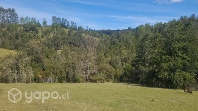 Parcela 10 hectáreas
