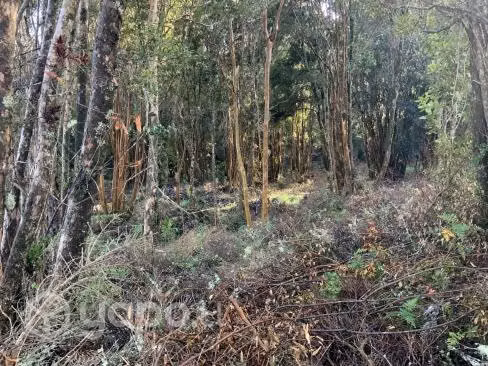 sitio en Piedra Azul, Puerto Montt