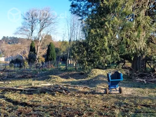 Corte de quilas, murras, zarzamoras, coligües