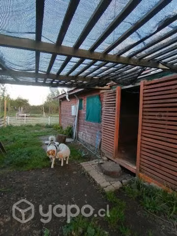 Casa con Internet