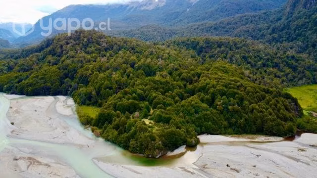 Campo de 526,9 ha. de bosque nativo virgen