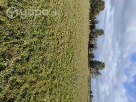 parcela de 5000 m2, con casa nueva de 80 m2 - Imagen 2