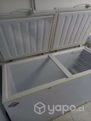 Congeladora Maigas