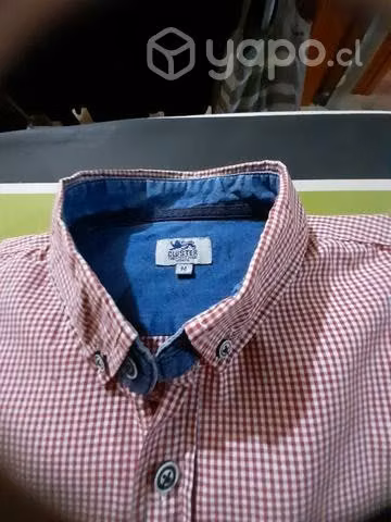 Camisas especial vestir huaso colores rojo ,rosado