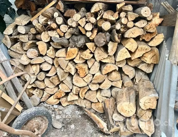 leña seca