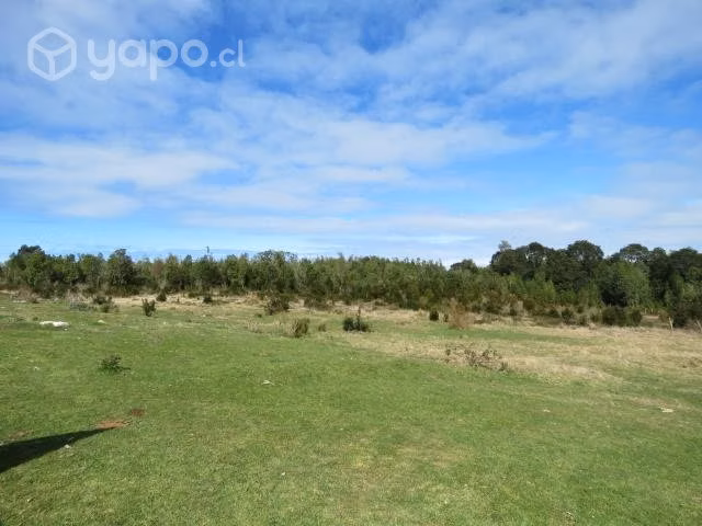 COLACO, HERMOSO TERRENO 6.149m2, PLANO, X REGIÓN