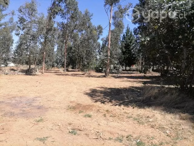 Venta de parcela - Imagen 6