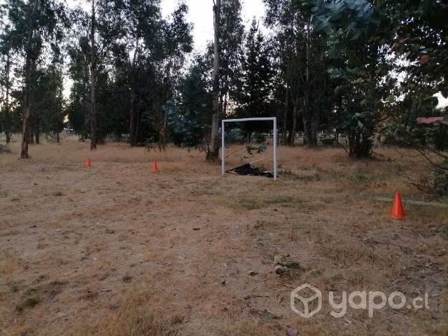Venta de parcela - Imagen 5