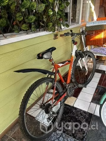 Bicicletas Oxford - Imagen 5
