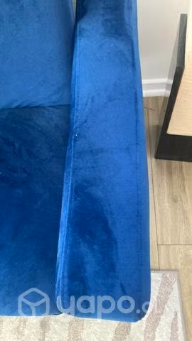 Lindo Sofa. Felpa - Imagen 3