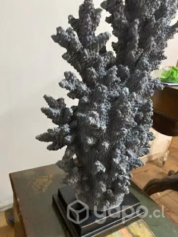 Escultura de coral azul celeste - Imagen 3