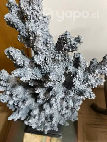 Escultura de coral azul celeste - Imagen 2