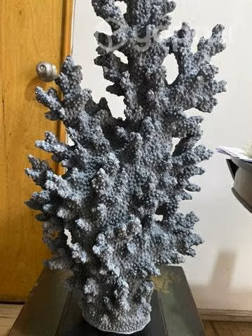 Escultura de coral azul celeste - Imagen 6