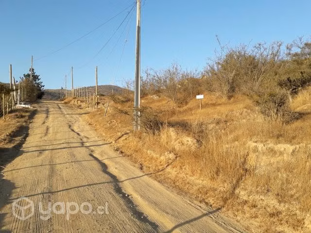 Terreno de 5000 mtros cuadrado - Imagen 4