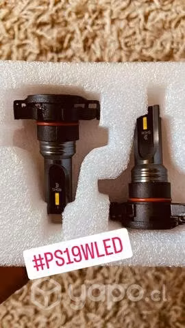 Ps19w psx24