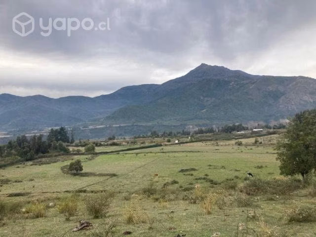 Campo