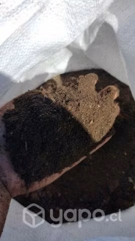 Tierra de hojas para su jardín - Imagen 5