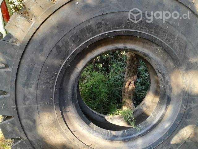 Neumatico nuevo Cargador Frontal aro 25 - Imagen 3