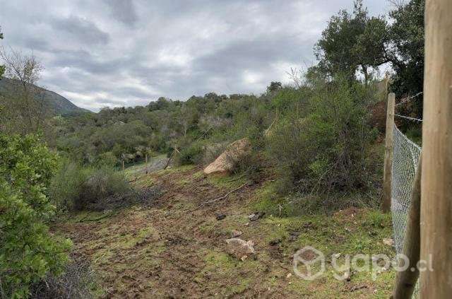 Parcela 10.000 m2 en Santa Cruz - Imagen 7
