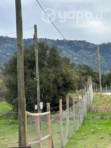 Parcela 10.000 m2 en Santa Cruz - Imagen 2