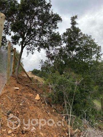 Parcela 10.000 m2 en Santa Cruz - Imagen 9