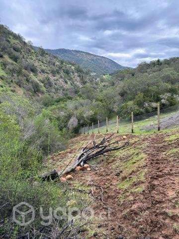 Parcela 10.000 m2 en Santa Cruz - Imagen 12