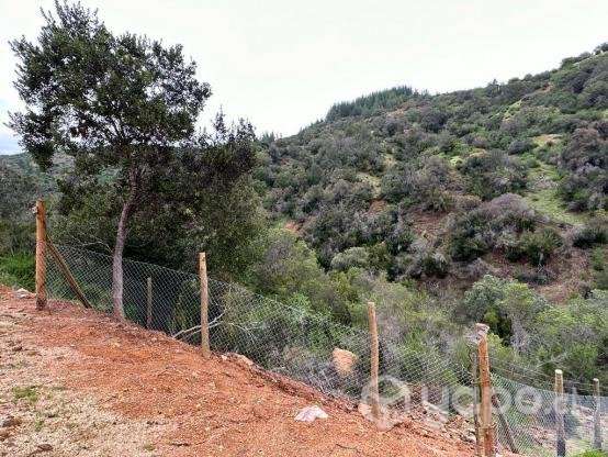 Parcela 10.000 m2 en Santa Cruz - Imagen 5