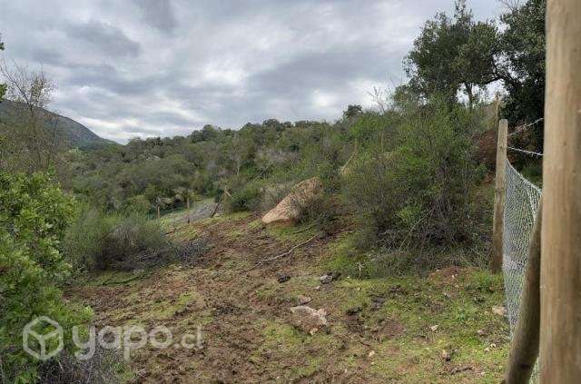 Parcela 10.000 m2 en Santa Cruz - Imagen 11