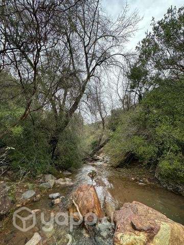 Parcela 10.000 m2 en Santa Cruz - Imagen 6