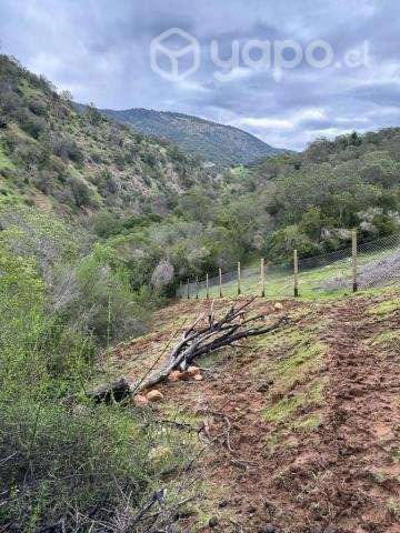 Parcela 10.000 m2 en Santa Cruz - Imagen 8