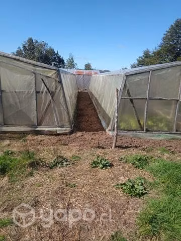Se vende 1/2 hectárea de terreno a orilla de rio
