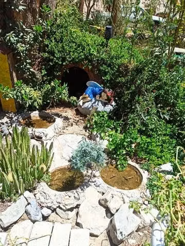 Propiedad en tulahuen