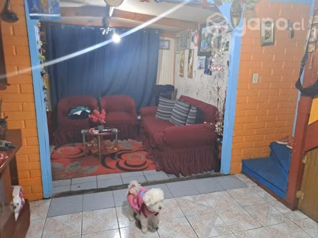 Casa
