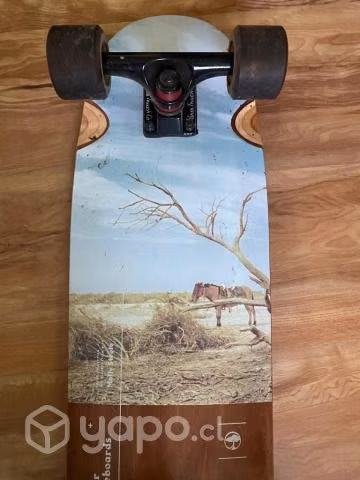 Longboard Arbor collection with Molly Steel