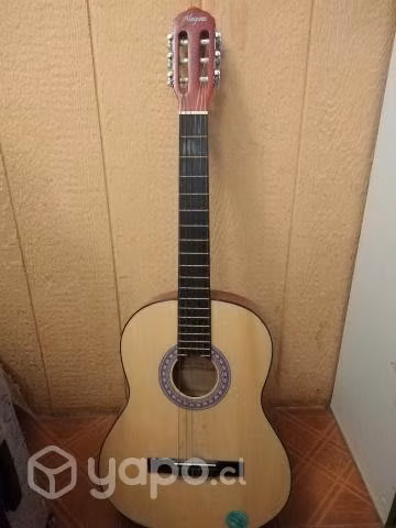 Guitarra acustica