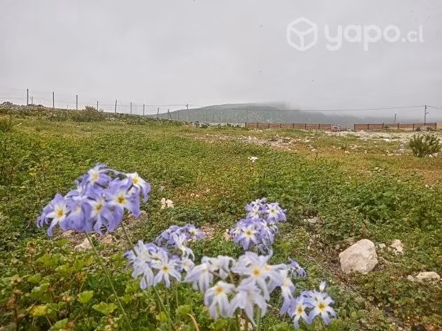 Terreno con rol propio Altos el panul - Imagen 3