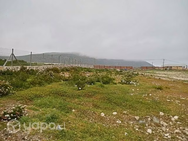 Terreno con rol propio Altos el panul - Imagen 4
