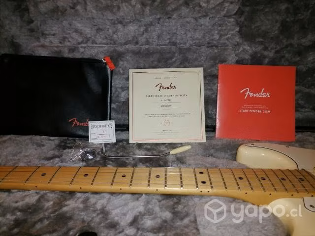 Fender Stratocaster American Professional