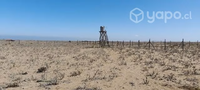 Parcela con casa en punta de choros