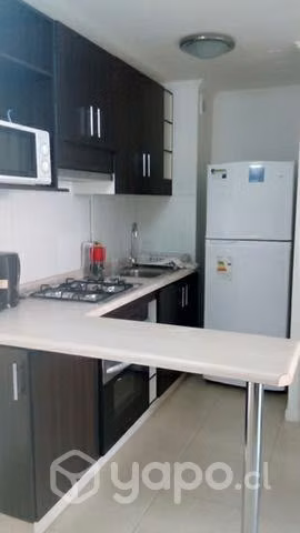 depto Condominio Parque Parinacota