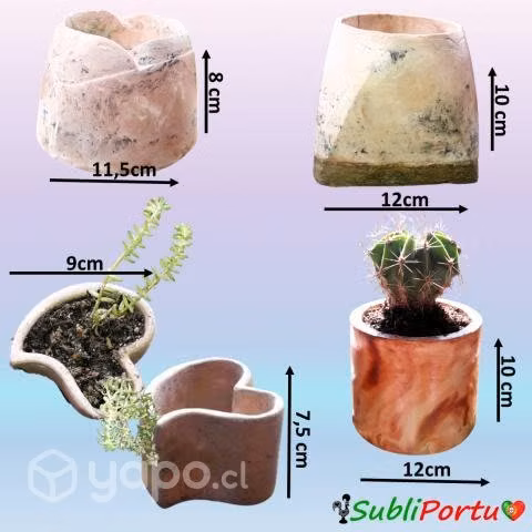Macetas Con O Sin Plantas Recuerdos Bodas, Bautiso