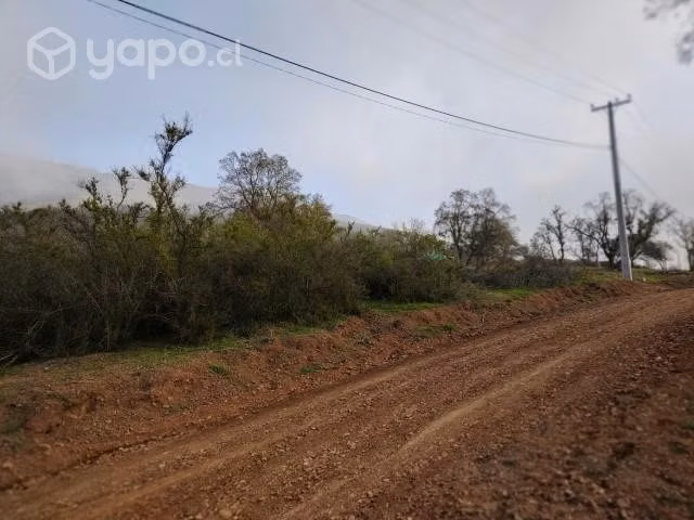 Terreno 5.000m2 La Cruz