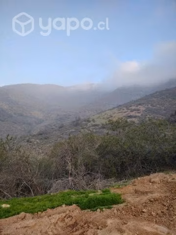 Terreno 5.000m2 La Cruz