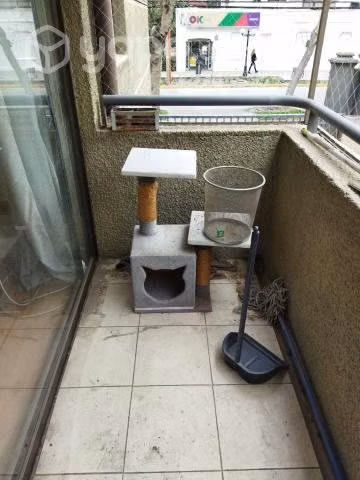 rascador gatos