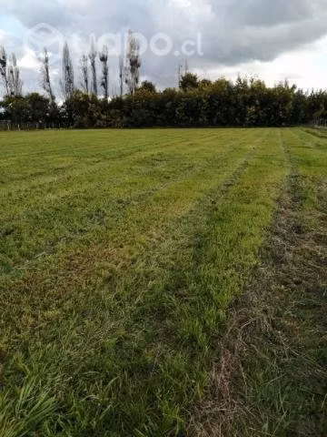 Parcela agrícolas o de agrado - Imagen 3